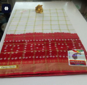 PUJA SAREE-CHERRY CHECK-3